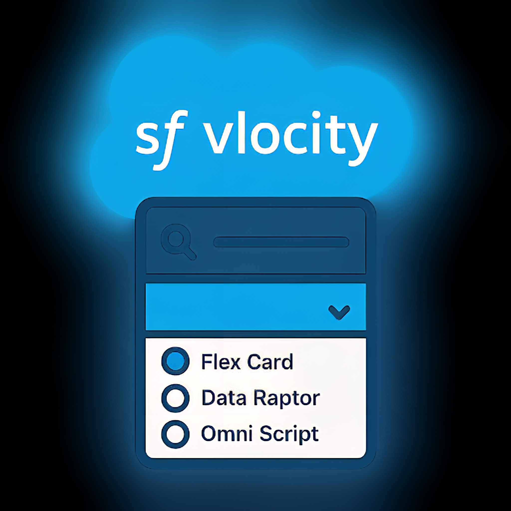 Salesforce Vlocity Manager